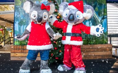 Spoil the Kids to a Christmas Experience at Currumbin Wildlife Sanctuary