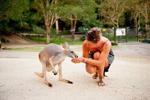 3 Must-See Places at Currumbin Beach