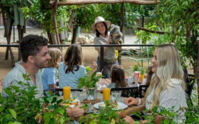 Unwind at Rocks Resort & Enjoy a Trip to Currumbin Wildlife Sanctuary