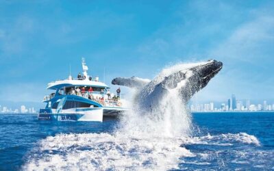 Book Now: Winter Gold Coast Getaways Filling Fast