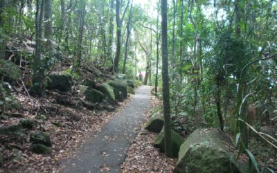 Burleigh by Oceanway: ride or walk north from Currumbin