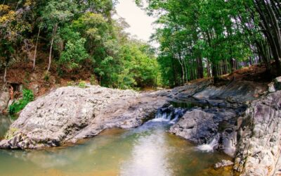 Free Currumbin from The Rocks: vantage points and low-tide walks