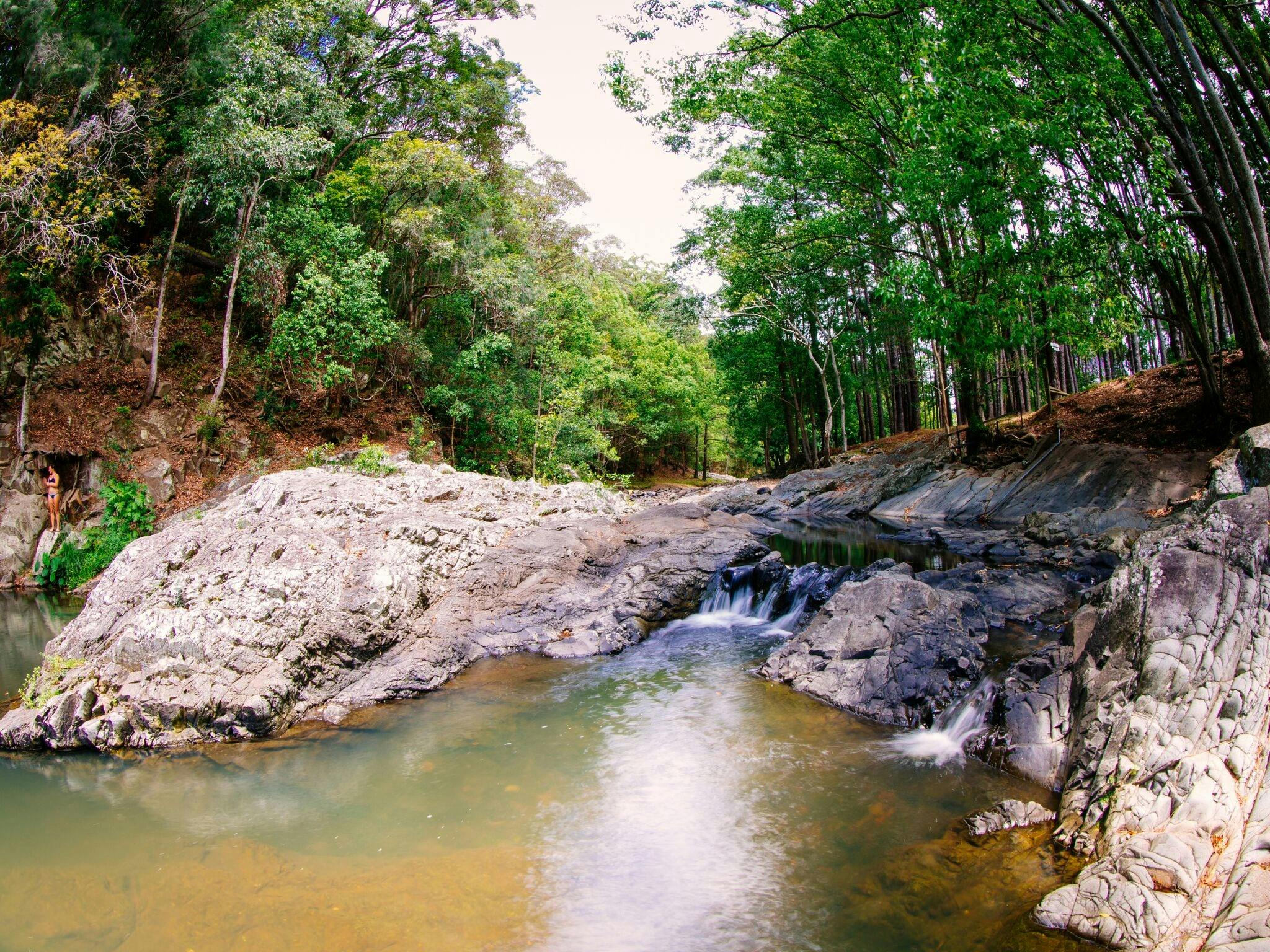 free-currumbin-vantage-points-low-tide Free freshwater swimming at the Currumbin Rock Pools in Currumbin Valley, southern Gold Coast